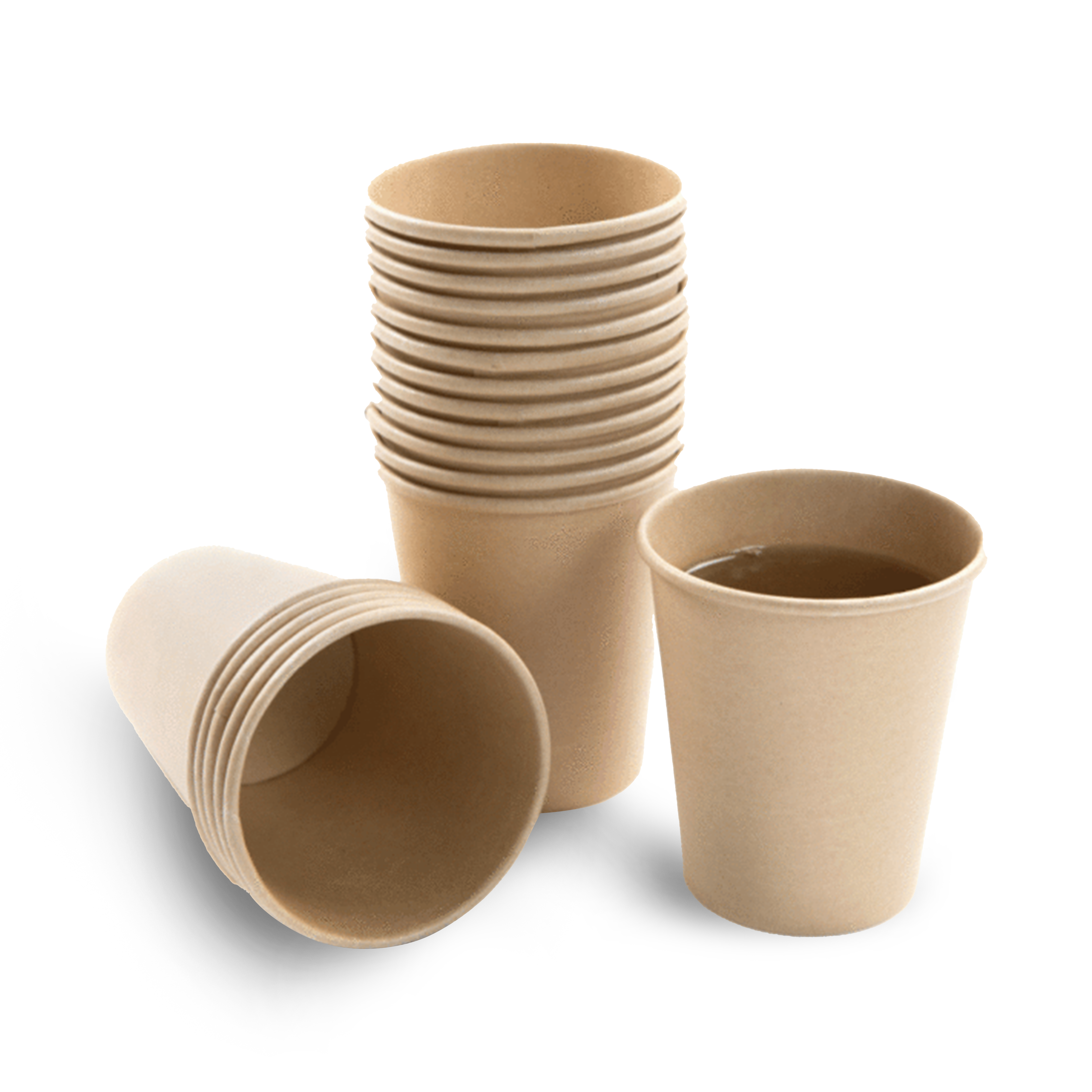 Paper Cups FM